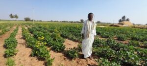 A successful journey from poverty to economic sustainability