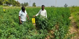 A successful journey from poverty to economic sustainability Photo 2