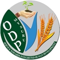 ODP logo